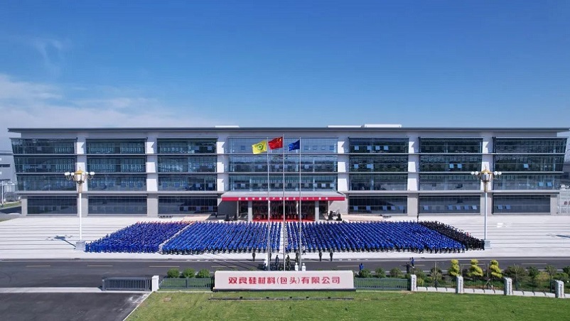 logo【4790】双良硅材料(包头)有限公司-1.jpg