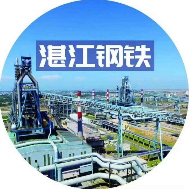 logo湛江钢铁-1.jpg